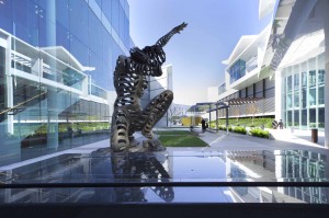 2014019083_5_GuidaMoseleyBrownArchitects_CanberraInternationalAirport_GinetteSnow