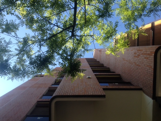 Looking up at Residential Girasol