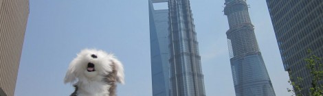 Think Bigger