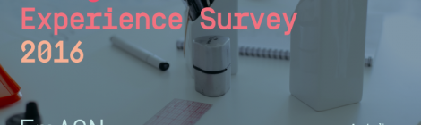 Young Professionals Experience Survey 2016