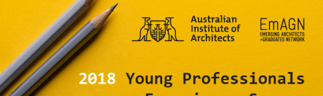 2018 Young Professionals Experience Survey