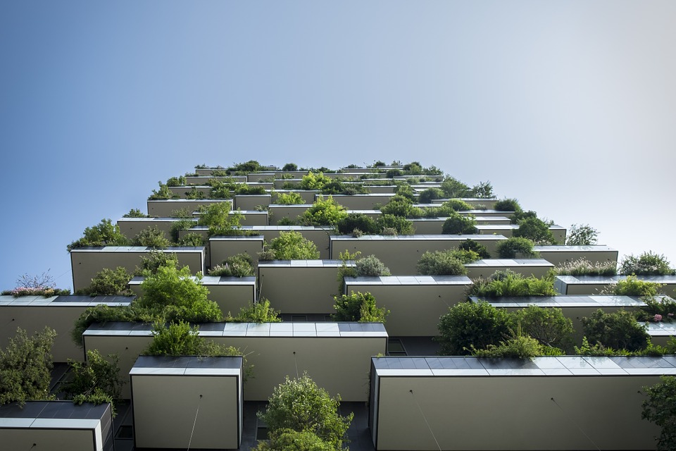 Citizen-Led Infill Housing: quality housing choices for real people