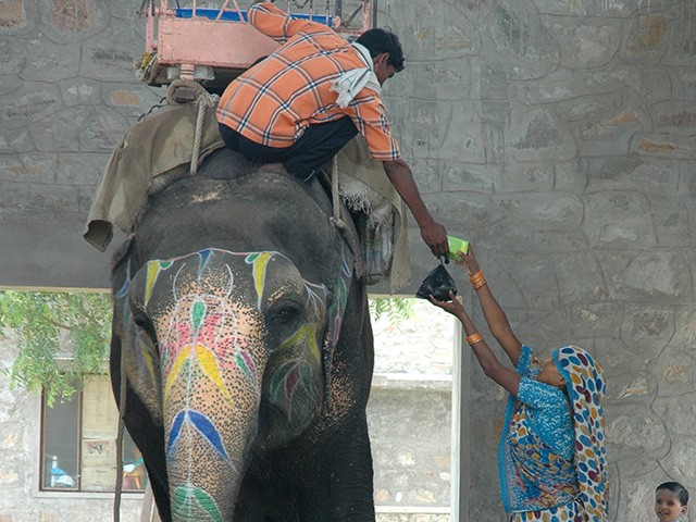 Hathi Goan - Photographer Rahul Mehrotra