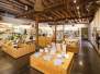 Public Architecture - Tasmanian Museum and Art Gallery