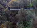 2015073245_2_SentinelLookout_Mark Clemens