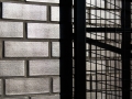 2016070921_ClarenceHigh.etal_Dock4Architects_AdamGibson_2