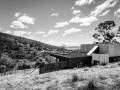 2016070915_BonnetHill.etal_Dock4Architects_AdamGibson_0