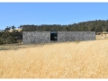 dhouse08