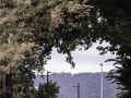 pp06